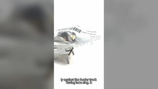 ASMPT 03083995-02 X12N Κάλυμμα Τύπου Ταινίας Τροφοδοσίας για SIPLACE